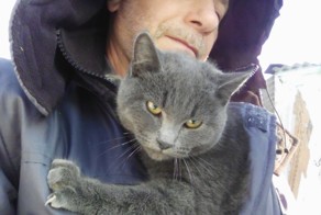 Троицкие связисты спасли породистого кота, сидевшего на электроопоре