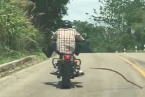 В Таиланде змея напала на ехавшего по дороге мотоциклиста