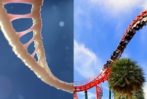 Совместить несовместимое: гипнотизирующее музыкальное видео, состоящее из сменяющих друг друга видеоколлажей