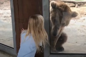 Девочка сыграла в прятки со скучающим в зоопарке медведем