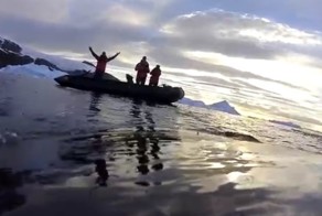 Каким видят мир киты в Южном океане