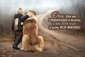 Чудесная коллекция фото собак!