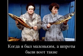  Подборка демотиваторов, которые поднимут вам настроение