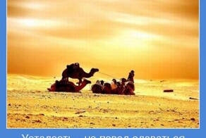 Мотиваторы про жизнь