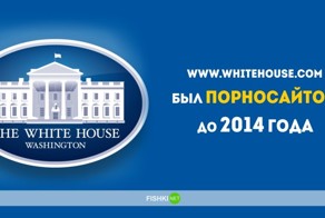 Порция свежих порнофактов