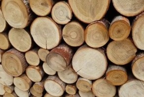 Ушел в дрова. К обеду не ждите