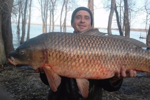 Новосибирец поймал в Оби гигантскую «речную свинью»