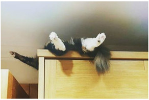 Чтоб я так жил!