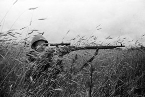 Министерство обороны опубликовало редкие снимки великой отечественной войны