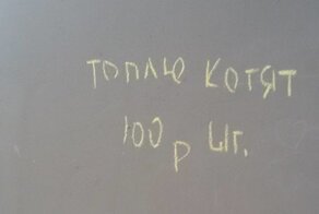 В курский водопровод явно подмешивают наркотики. Иначе как всё это объяснить?