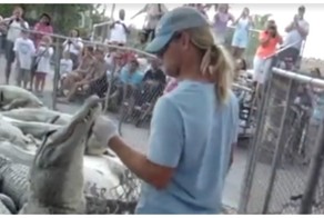 Крокодил едва не откусил руку дразнившему его смотрителю