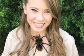 Бесстрашная красавица Бинди Ирвин