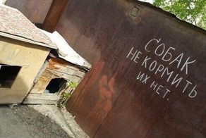 Вестник социальных сетей