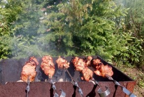 Ребенок вегетарианец попросил шашлыка