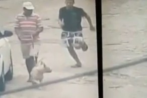 Питбуль помог поймать и обезвредить преступника