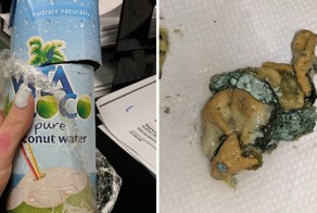 Ужасная находка  в кокосовой воде