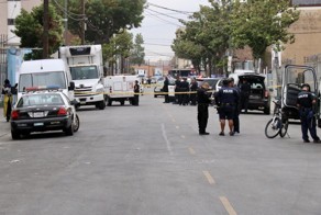 Полиция Лос-Анджелеса застрелила свирепых питбулей, напавших на мужчину и разорвавших его маленькую собаку