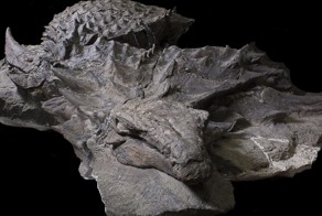 Эта 110-миллионолетняя окаменелость динозавра выглядит как статуя