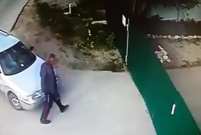 Осторожно, хлипкий забор и злые собаки!