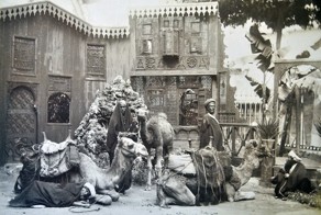 Фотоальбом путешественницы викторианской эпохи