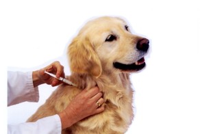 Как-то я решил подвезти начальника, но