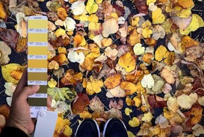 Итальянский графический дизайнер находит палитры цветов в природных пейзажах и городах