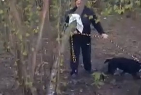 Хозяйка питбуля пригрозила отдыхающим в лесу расправой с помощью пса