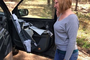 Медведь закрылся в автомобиле и... в общем - кирдык машине