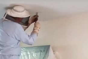 Жительница США была совсем не готова обнаружить в своём потолке 120000 пчёл