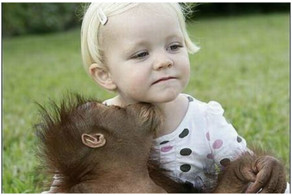 Вспомните о родственниках и согласитесь, что мы очень похожи