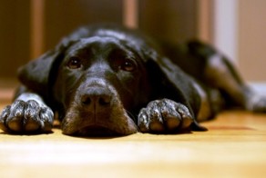 История о том, как жизнь умеет закрутить сюжет