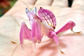 27 фотографий, достойных вашего внимания