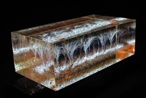 Электрические картины Берта Хикмана