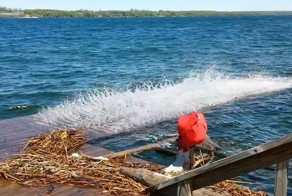 За этими бьющимися о пристань волнами можно наблюдать бесконечно