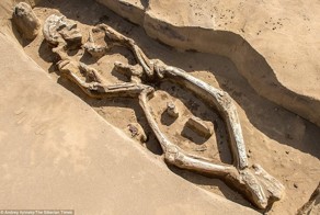 В России нашли 1300-летний «танцующий скелет» и его могила уникальна
