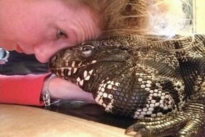 Огромная ящерица больше всего любит обниматься и целоваться
