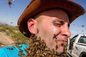Исследователь дикой природы попытался сделать себе бороду из 3000 пчел
