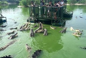 В Таиланде туристам предлагают посетить аттракцион с голодными крокодилами