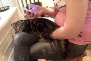 Подборка фотографий из разряда «показалось»