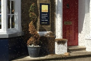 Огромный рой пчел атаковал пригород Лондона