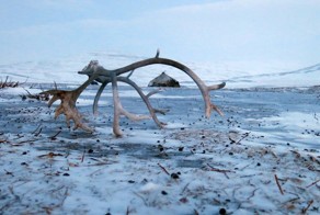 Один день из жизни чукотских оленеводов. Утро