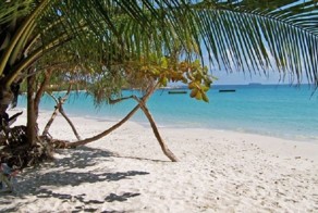 9 лет на необитаемом острове