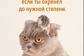 Есть ли границы у НАГЛОСТИ?