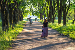 "Яжемать" — не причина, а следствие