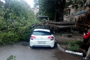 Унесенные ветром: фото и видео московского апокалипсиса