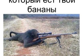 Очередная подборка картинок с подписями