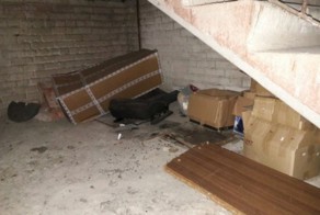 Ответ от ЖКХ: "В вашем возрасте надо другими делами заниматься, и не один раз за ночь!"