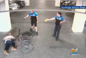 Вор попытался сбежать от полиции, но электрошокер усмирил его
