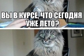 Очередная подборка картинок с подписями