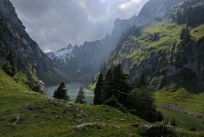 Фотоподборка за 05.06.2017